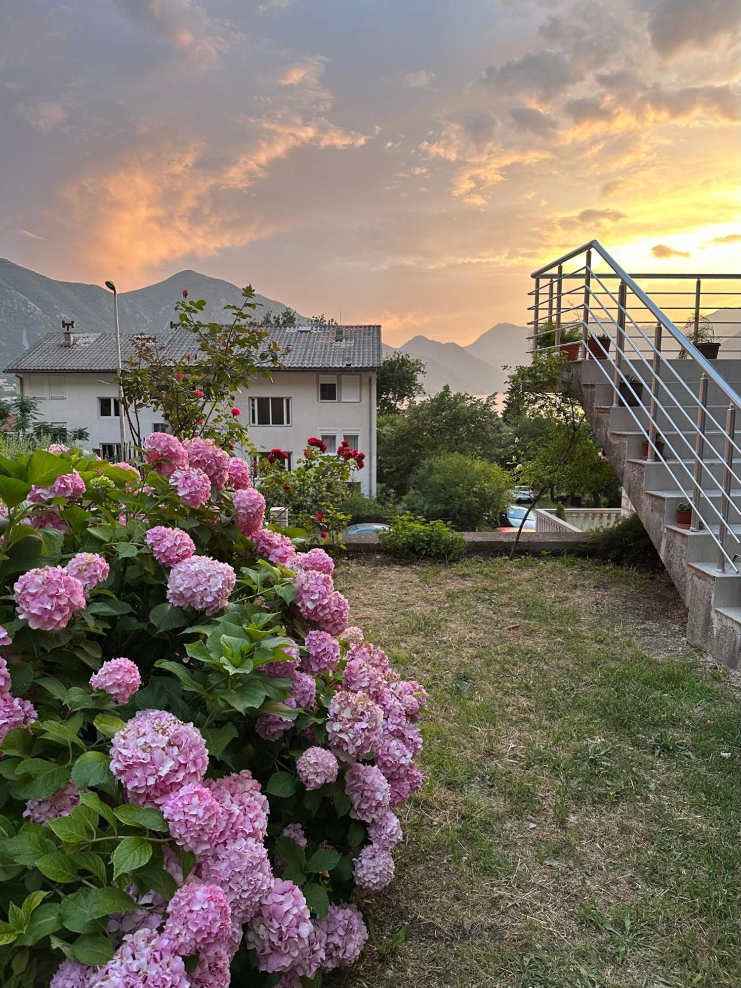 Sunny Apartment โกตอร์ ภายนอก รูปภาพ